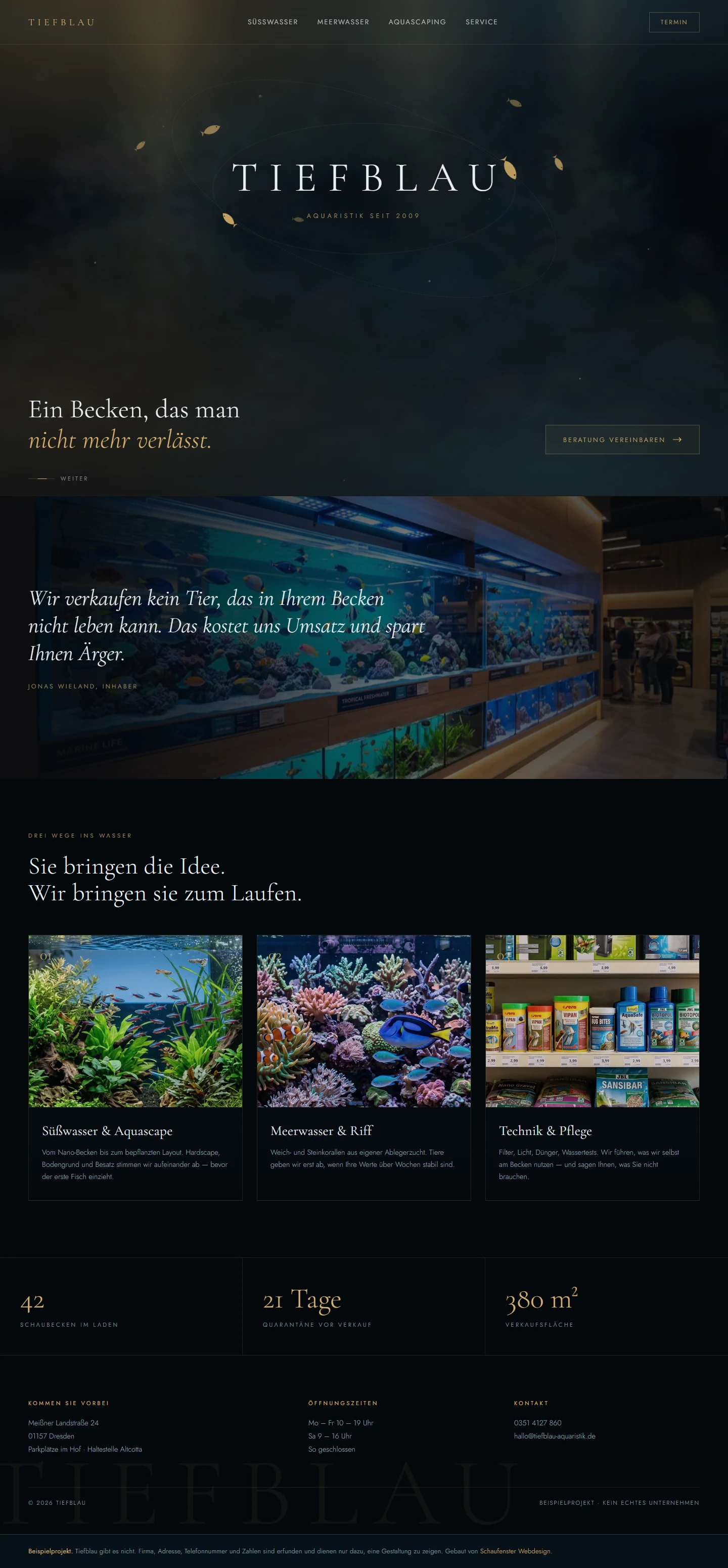 Die Beispielseite Tiefblau in der Desktopansicht, von oben bis zur Fußzeile